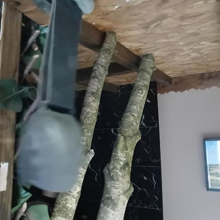 Apartmán La Grange De Paul Au Domaine Du Reuze Winnezeele Exteriér fotografie